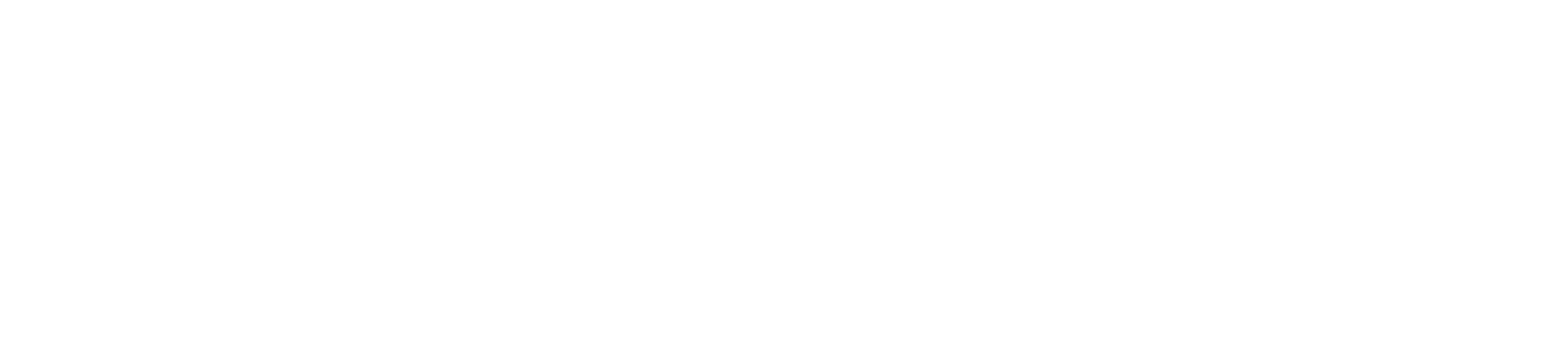 Walser Automotive Group Logo